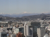 img0035.jpg
