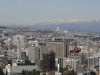img0036.jpg