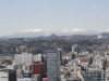 img0039.jpg