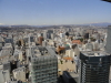 img0040.jpg