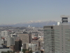 img0049.jpg