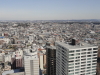 img0053.jpg