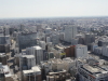 img0070.jpg
