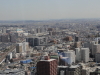 img0073.jpg