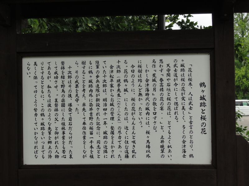 img0004.jpg