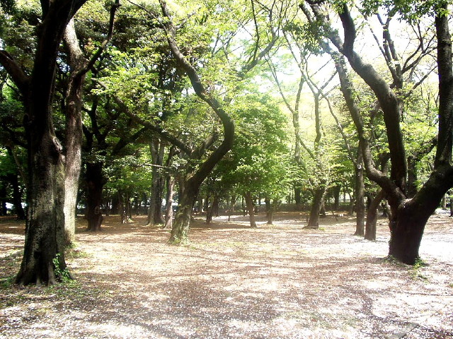 img0007.jpg