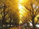 img0032.jpg