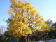 img0041.jpg