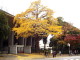img0049.jpg