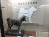 img0003.jpg