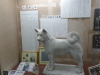 img0011.jpg