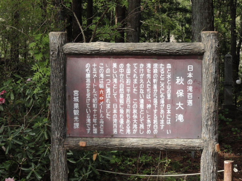 img0004.jpg