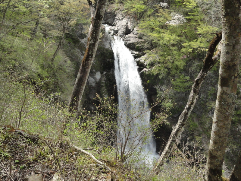 img0005.jpg