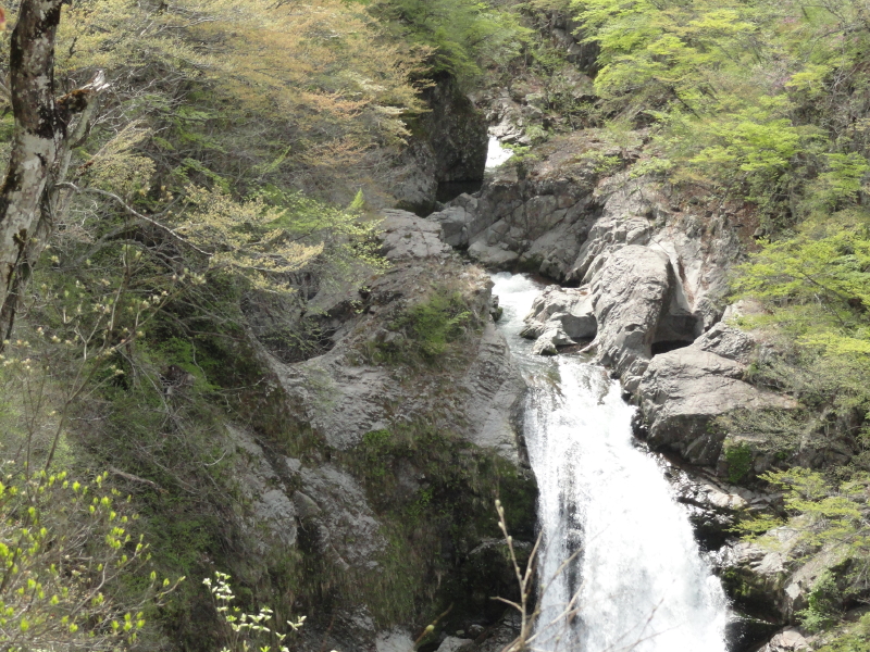 img0008.jpg