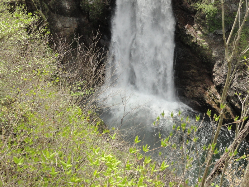 img0010.jpg
