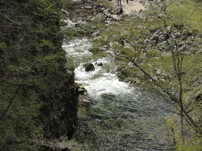 img0014.jpg