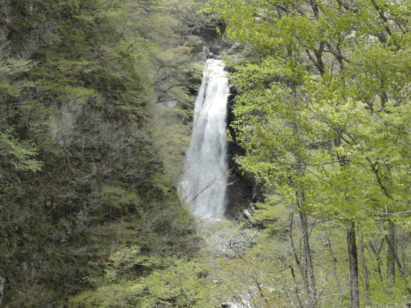 img0017.jpg