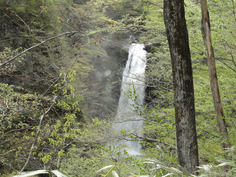 img0018.jpg