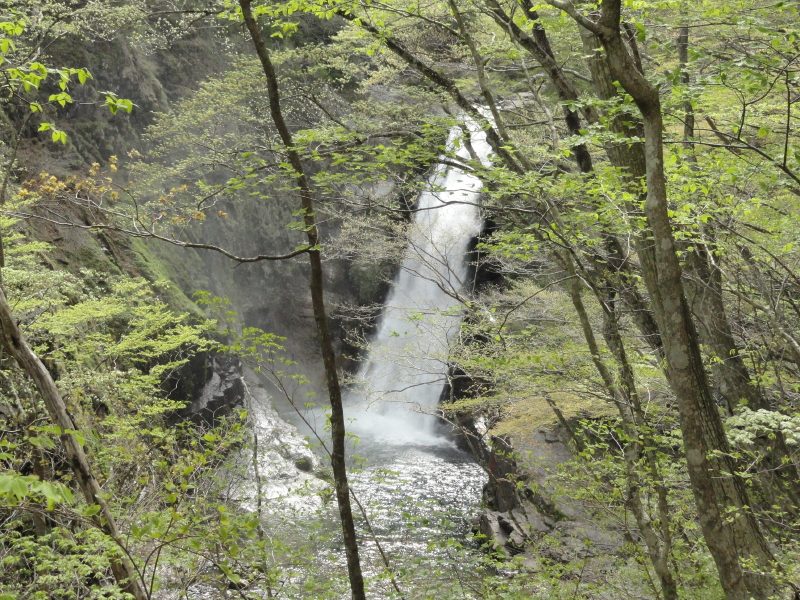 img0019.jpg