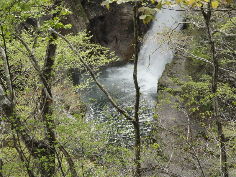 img0020.jpg