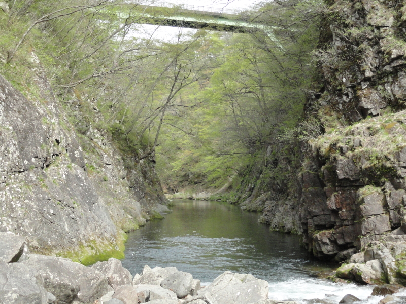 img0021.jpg