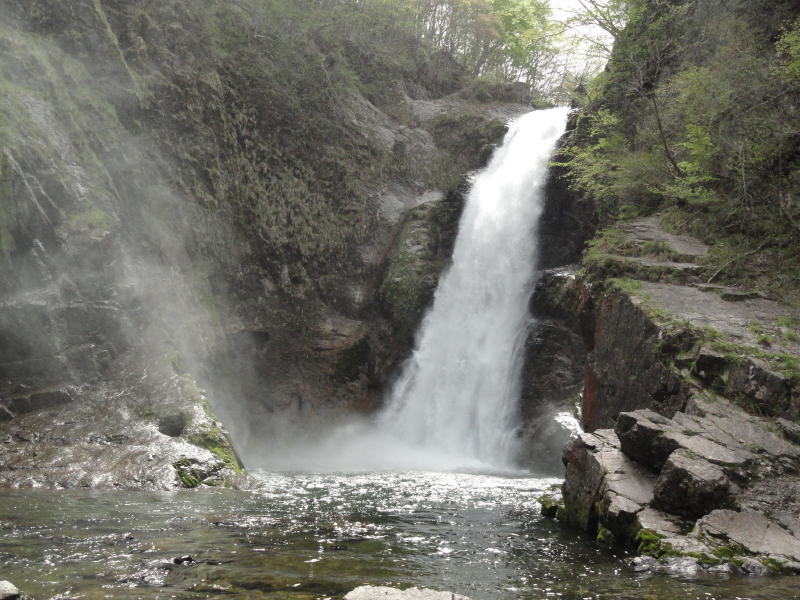 img0022.jpg