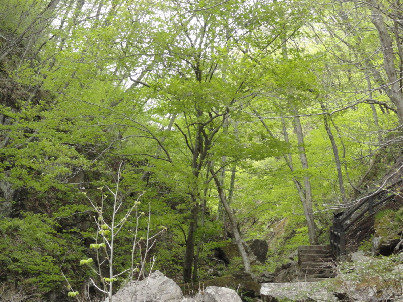 img0024.jpg