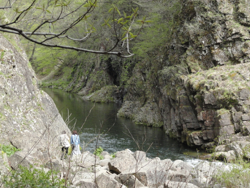 img0025.jpg