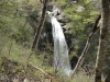 img0005.jpg