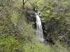 img0007.jpg