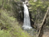 img0009.jpg