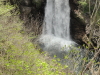 img0010.jpg