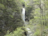 img0016.jpg