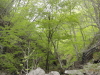 img0024.jpg