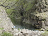 img0025.jpg