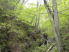 img0026.jpg