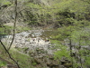 img0027.jpg