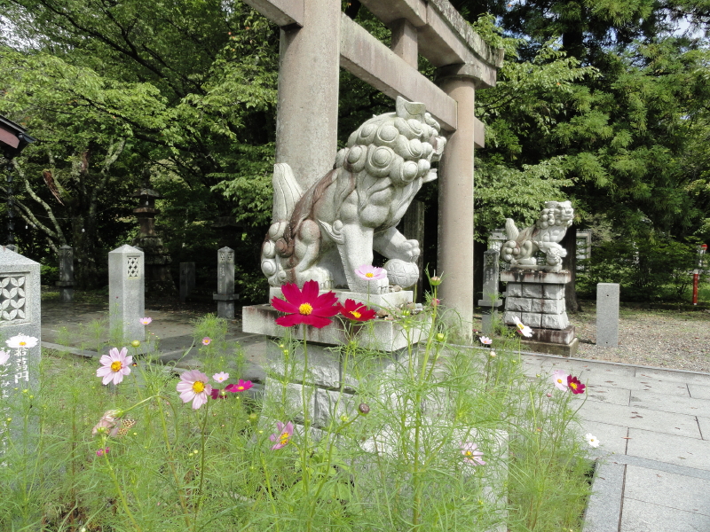 img0004.jpg
