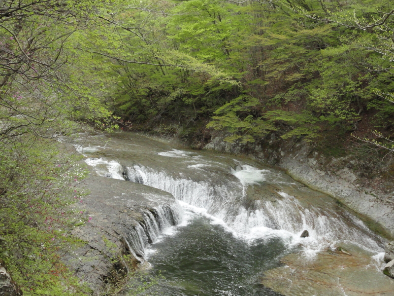 img0010.jpg