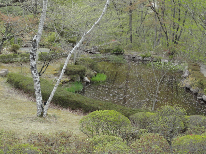 img0016.jpg