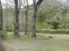img0003.jpg