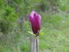 img0004.jpg