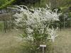 img0006.jpg