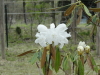 img0007.jpg