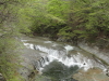 img0010.jpg