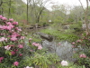 img0015.jpg