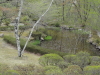 img0016.jpg