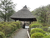 img0019.jpg