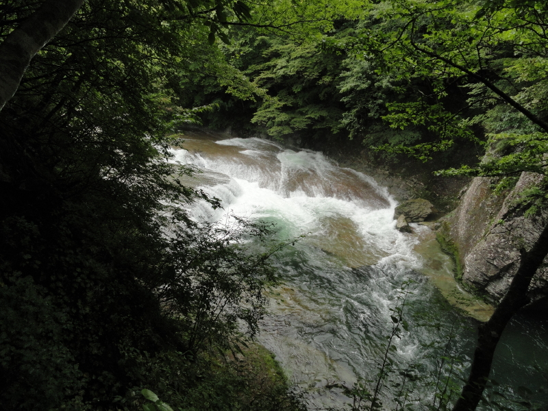 img0025.jpg