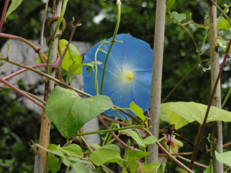 img0033.jpg